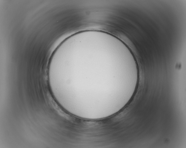 X0000112841436200909111412