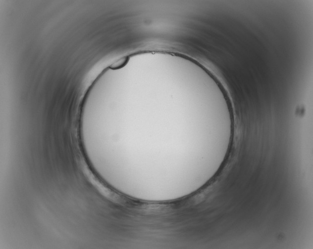 X0000112841437200909111412