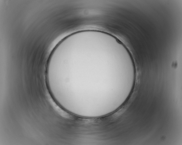 X0000112841438200909111412