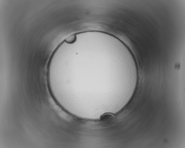 X0000112841439200909111412