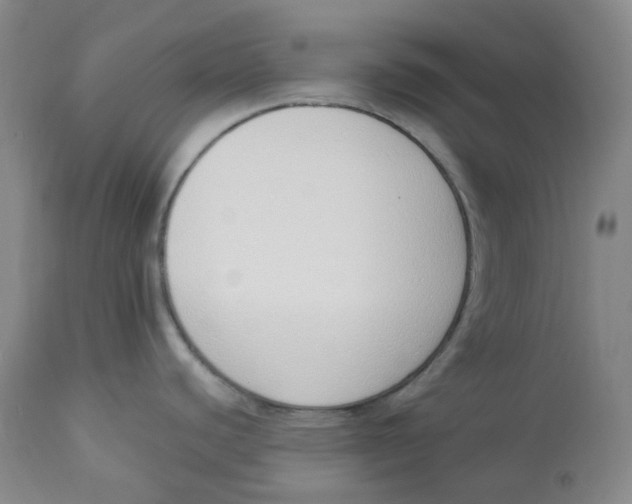 X0000112841440200909111412