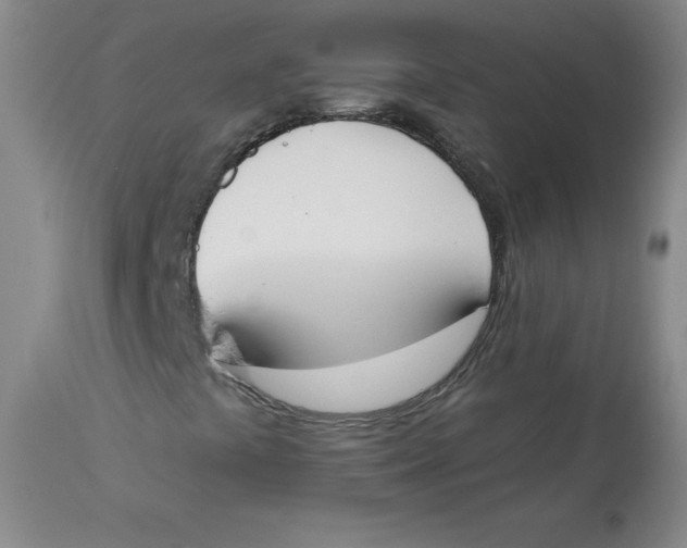 X0000112841441200909111411