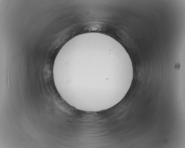 X0000112841442200909111411