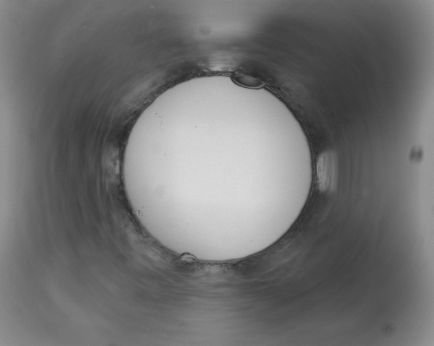 X0000112841443200909111411