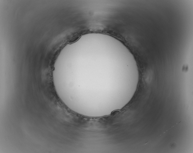 X0000112841445200909111411