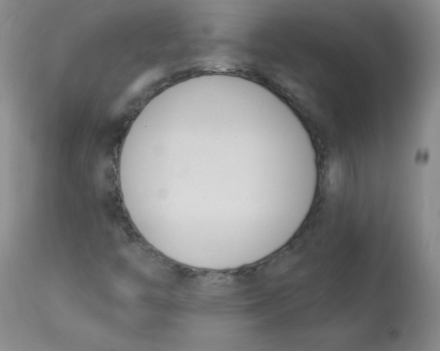 X0000112841446200909111411