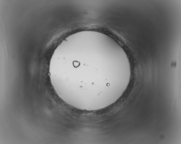 X0000112841447200909111411