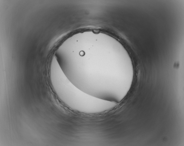 X0000112841448200909111411