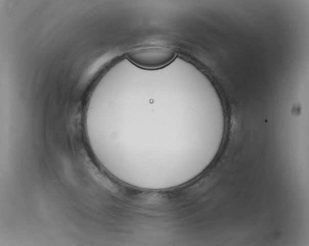 X0000112841450200909111411