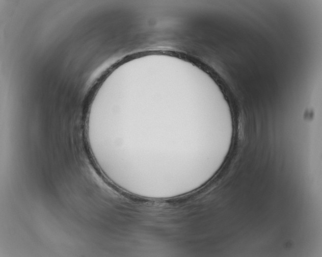 X0000112841452200909111411