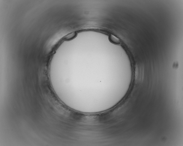 X0000112841453200909111411