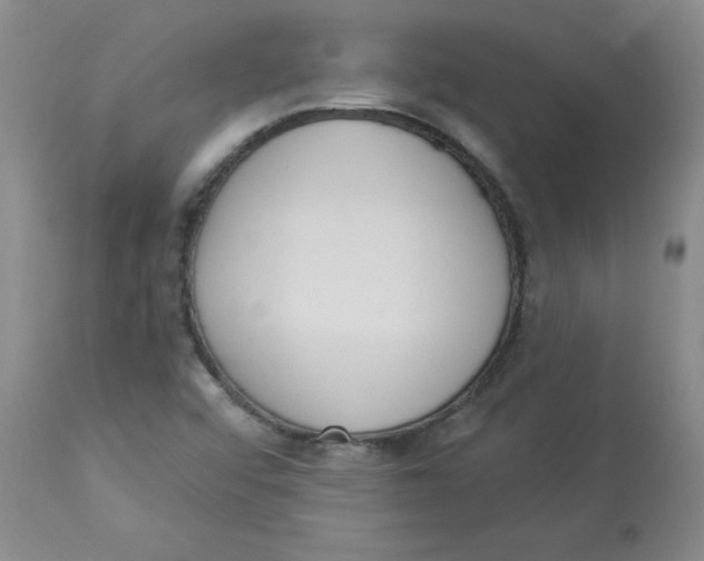 X0000112841456200909111411