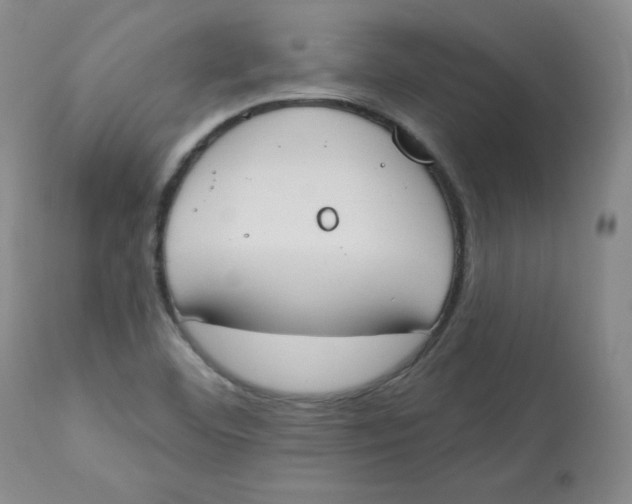 X0000112841460200909111411