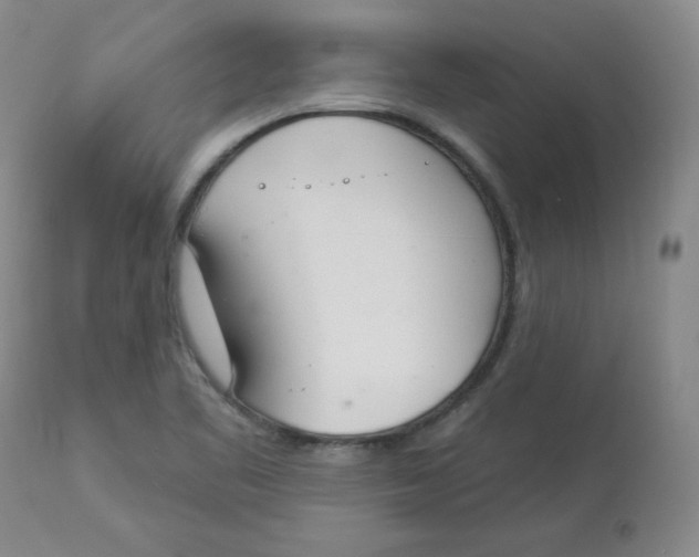 X0000112841461200909111411