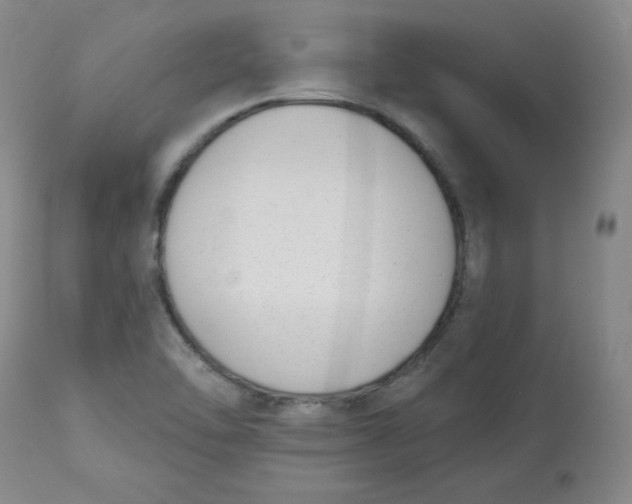 X0000112841462200909111411