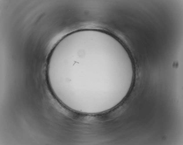 X0000112841463200909111411