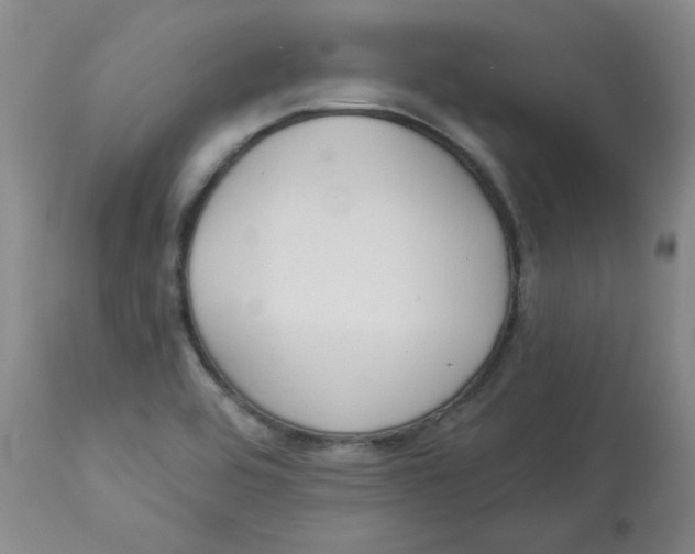 X0000112841464200909111411