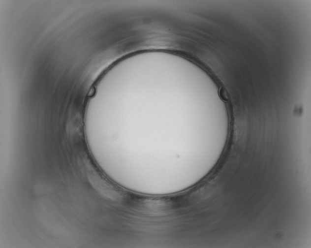 X0000112841465200909111411