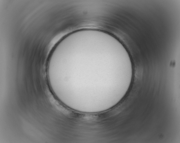 X0000112841466200909111411