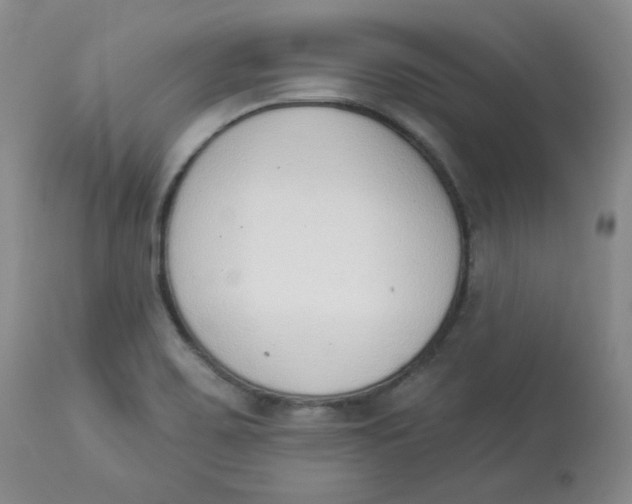 X0000112841467200909111411