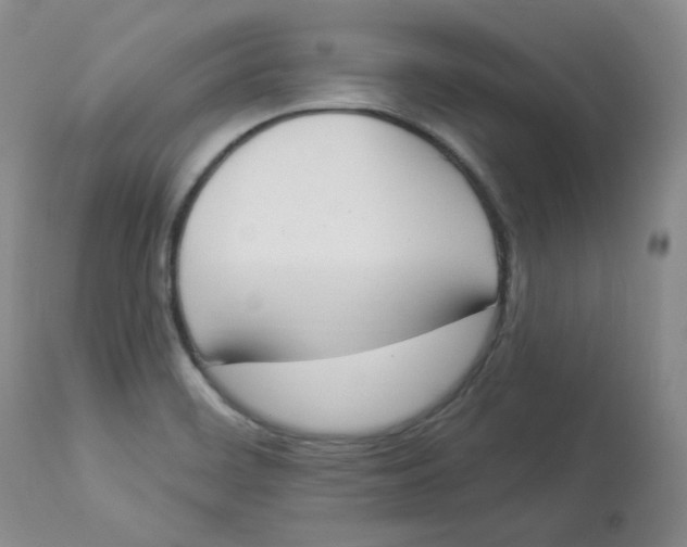 X0000112841468200909111411