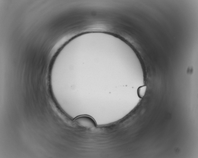 X0000112841469200909111411