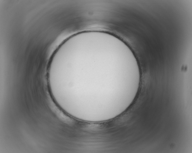 X0000112841470200909111411