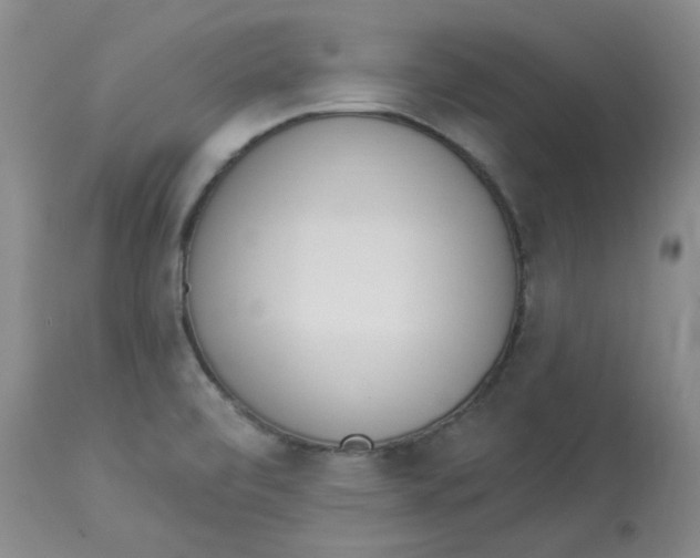 X0000112841472200909111411