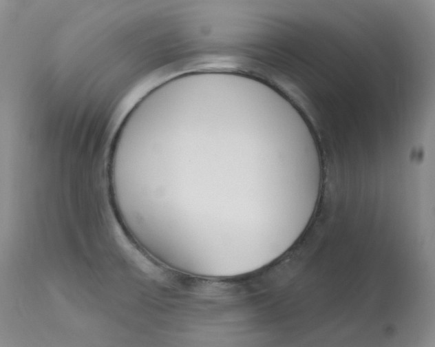 X0000112841475200909111411