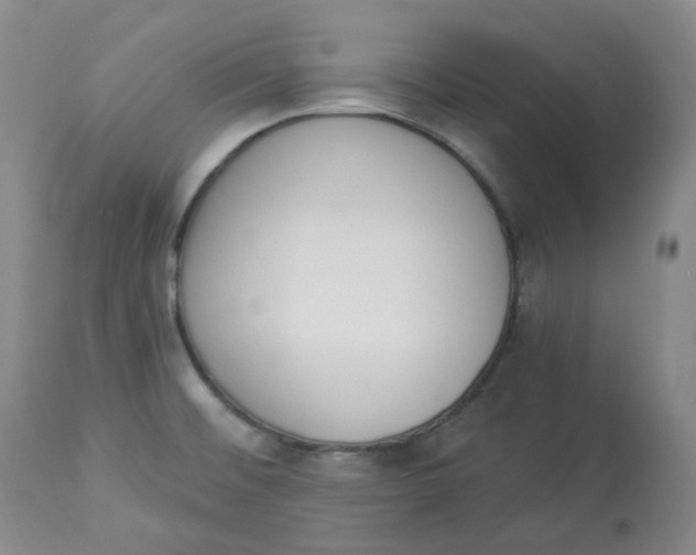 X0000112841476200909111411