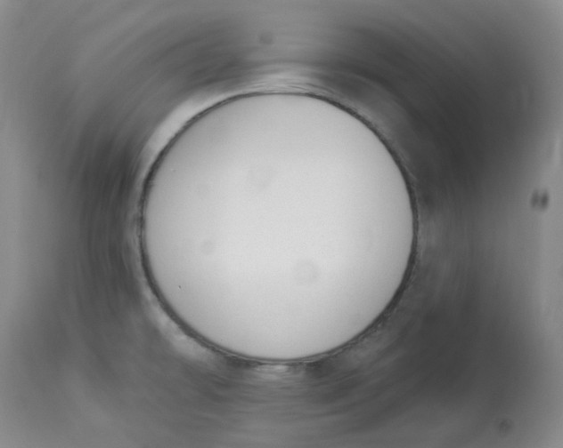 X0000112841478200909111411