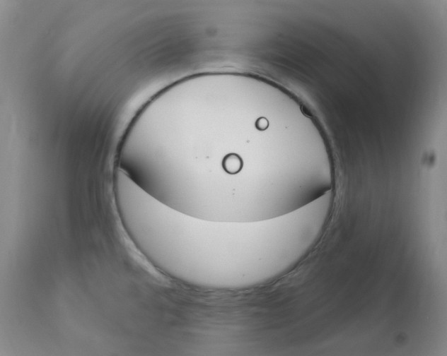 X0000112841480200909111411