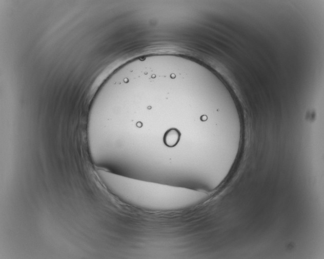 X0000112841481200909111411