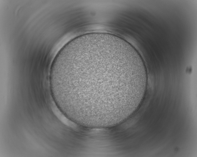 X0000112841482200909111411