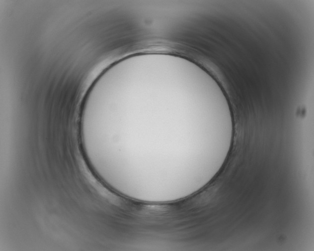 X0000112841483200909111411