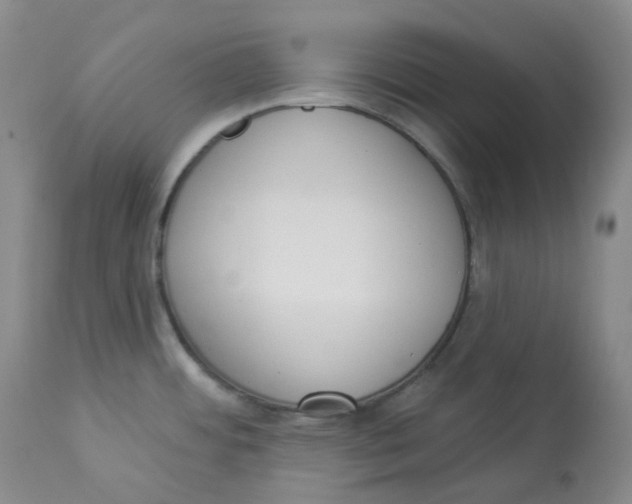 X0000112841484200909111411