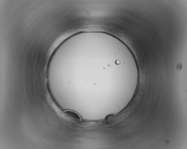 X0000112841485200909111411