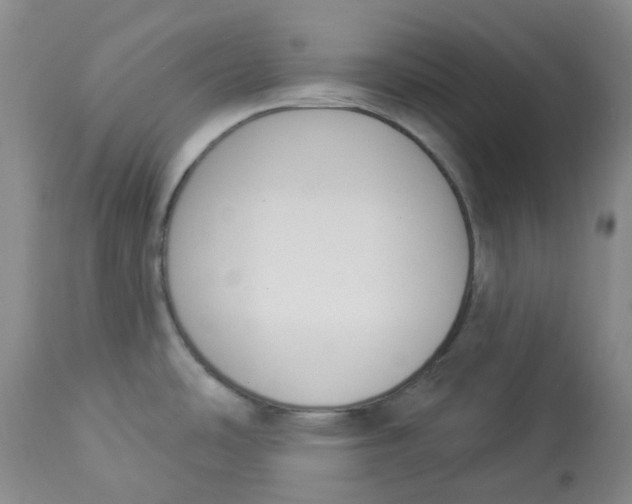 X0000112841486200909111411