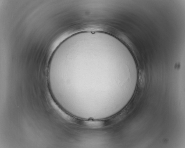 X0000112841487200909111411