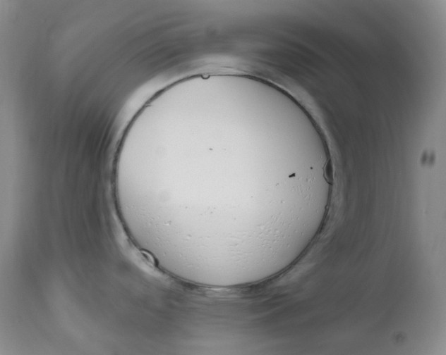 X0000112841488200909111411