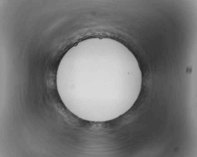 X0000112841490200909111410