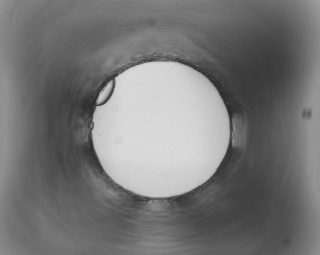 X0000112841491200909111410