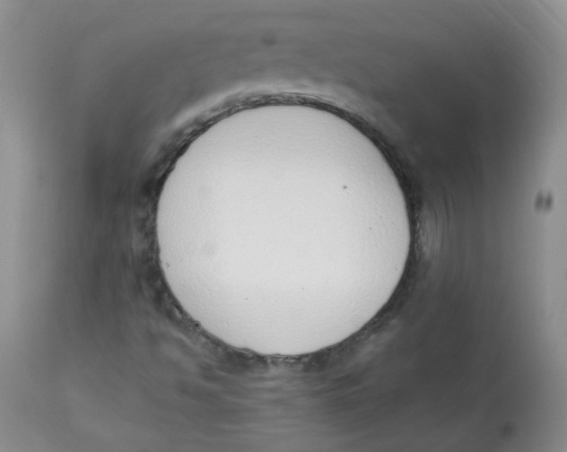 X0000112841494200909111410