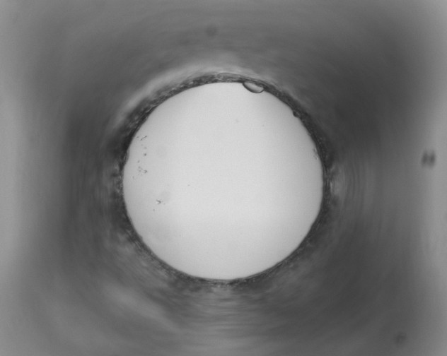 X0000112841495200909111410