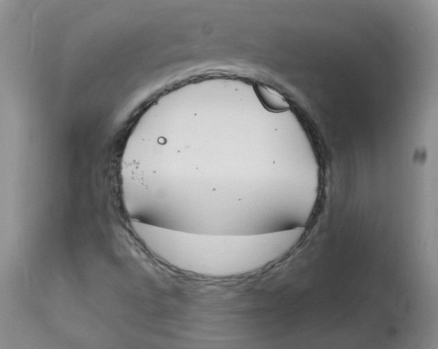 X0000112841496200909111410