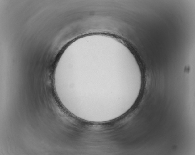 X0000112841497200909111410