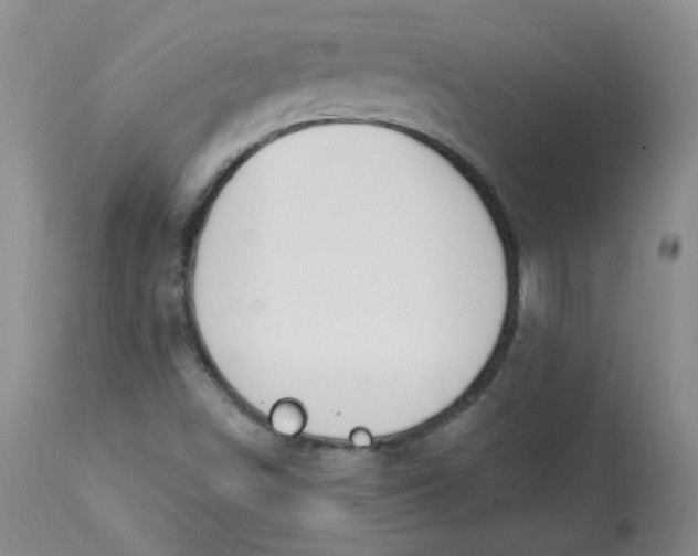 X0000112841498200909111410