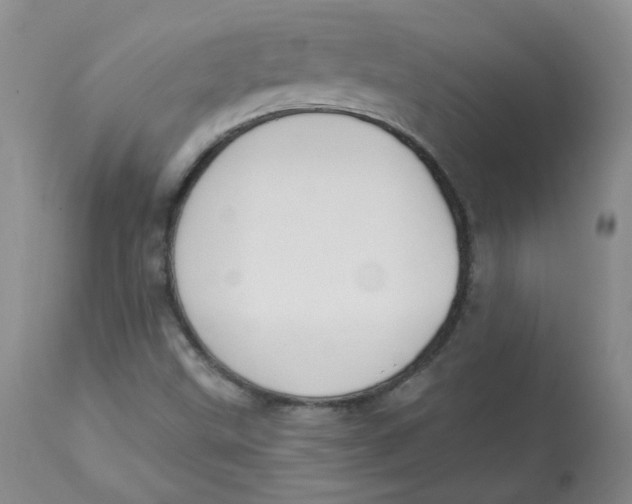 X0000112841499200909111410