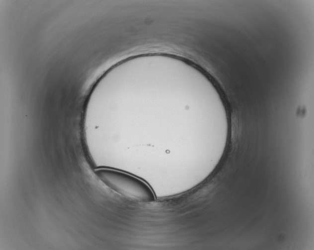 X0000112841500200909111410