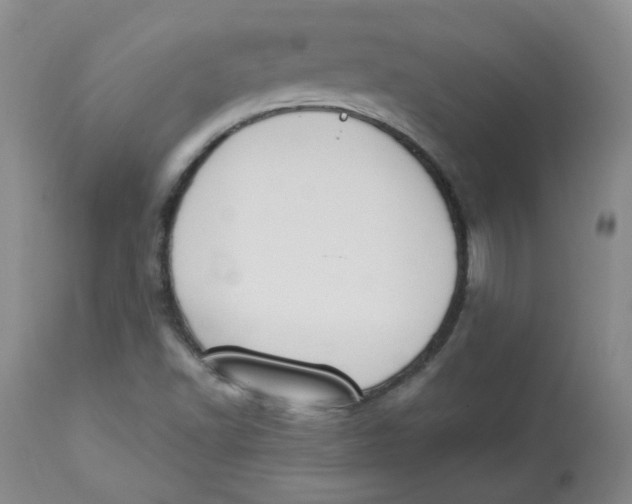 X0000112841502200909111410